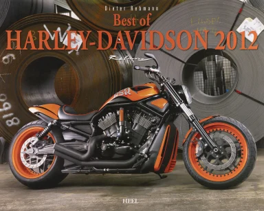 Harley-Davidson Night Rod Special in Schwarz und Orange vor Stahlcoils einer Industrieanlage.Harley-Davidson Kalender2012