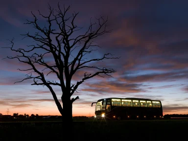 Reisebus in der Abenddämmerung vor einem farbenprächtigen Abendhimmel und einem kahlen Baum.